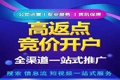行业领先企业的SEM竞价专员工作实录